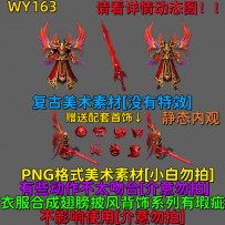 WY163