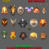 TX009